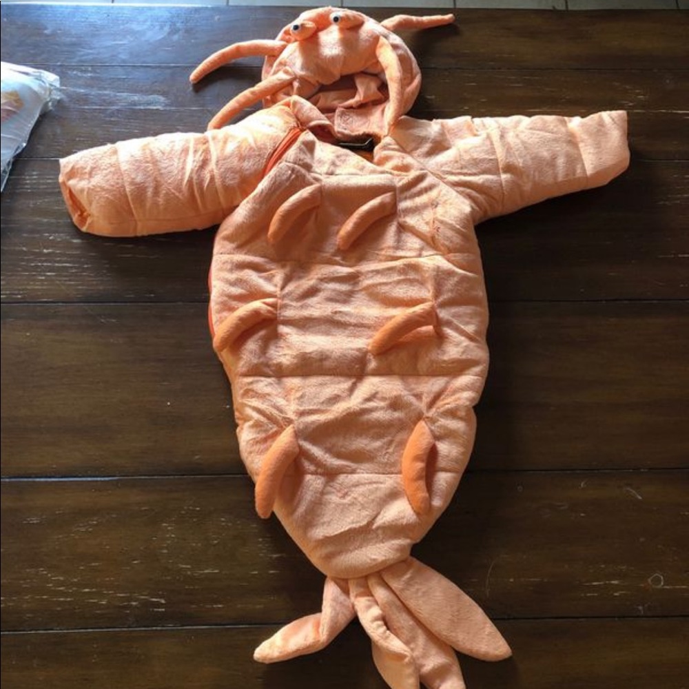 Baby lobster bunting